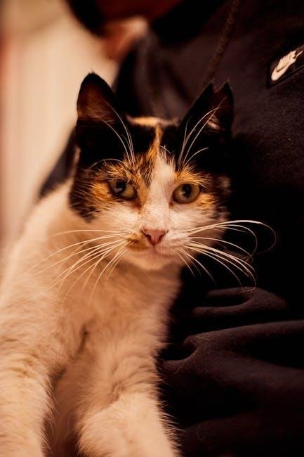 Maximizing Savings‍ with Loyalty Programs and Discounts