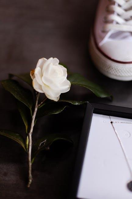 Navigating Sneaker Conventions:⁢ Tips‍ for ‌an Unforgettable⁣ Experience