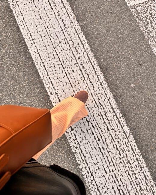 Top Features to Look for in Travel Walking Shoes