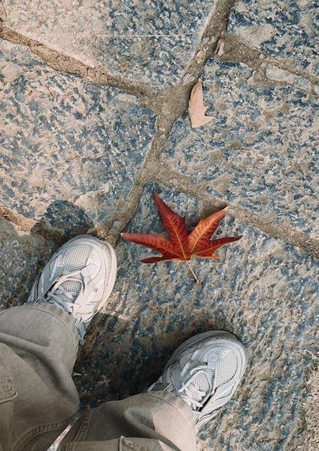 Fabric Matters: Aligning Sneaker Textures with Dress Materials