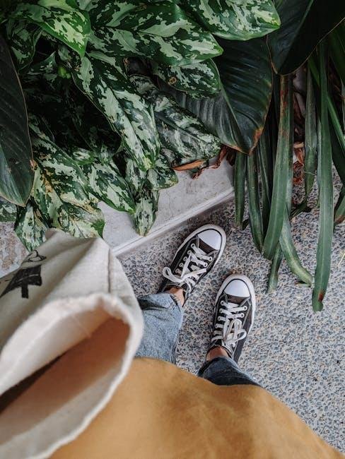 best-eco-friendly-sneaker-brands-in-2025.jpeg Best Eco-Friendly Sneaker Brands in 2025